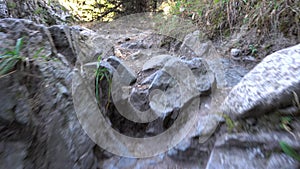 Mountain trail in the forest, climbing over rocks