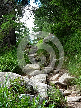 Mountain trail in High Tatras mountains, Slovakia