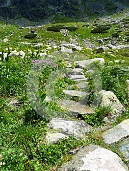 Mountain trail in High Tatras mountains, Slovakia