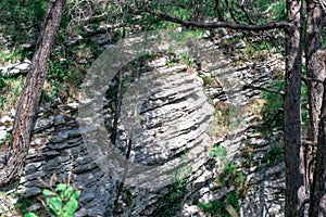 Mountain trail inside the forest. Beautiful scenic, romantic landscape. Roots of trees and stones on path in wild wood.