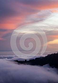 Mountain trail to Pico do Arieiro