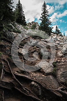 Mountain trail with tree roots and stones Zyuratkul Range