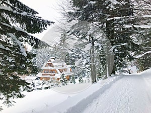 Mountain trail in winter. Landscape covered with snow. Wooden house. Winter tourism in Zakopane, Tatra Mountains, Poland, Europe