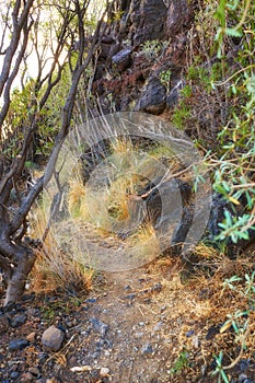 Mountain trails - La Palma, Canary Islands. Mountain trails on La Palma, the west coast, Canary Island, Spain, Aerial