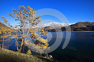 Mountain tree with lake and blue sky photo