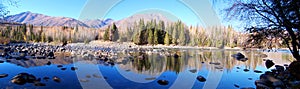 Mountain tree and lake panorama