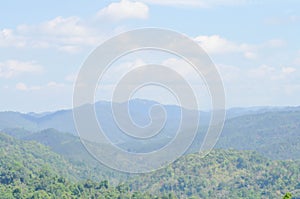 mountain ,tree and sky background or mountain view