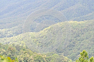 mountain ,tree and sky background or mountain view