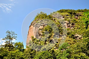 Mountain and tree, Taining, Fujian, China