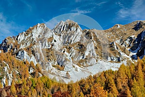 Mountain with trees and colorful meadows