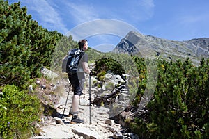 Mountain trek photo