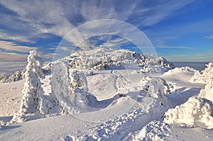 Mountain trail