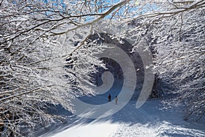 Mountain trip in the snow