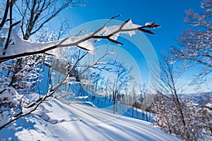 Mountain trip in the snow