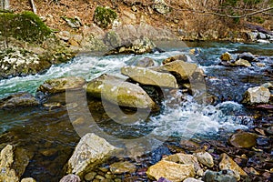 A Mountain Trout Stream in the Blue Ridge Mountains