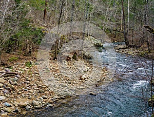 Mountain Trout Stream in the Blue Ridge Mountains