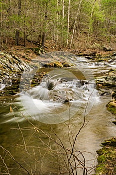 A Mountain Trout Stream in the Blue Ridge Mountains of Virginia, USA