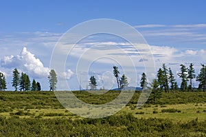 Mountain tundra photo