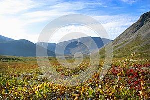 Mountain tundra, Hibiny mountains above the Arctic circle, Kola peninsula, Russia