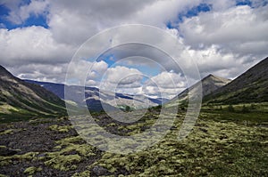 Mountain tundra with mosses and rocks covered with lichens, Hibiny mountains above the Arctic circle, Kola peninsula, Russia