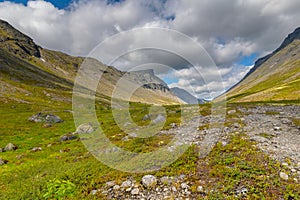 Mountain tundra with mosses and rocks covered with lichens, Hibiny mountains above the Arctic circle, Kola peninsula