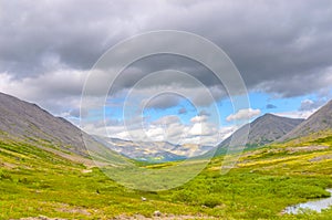 Mountain tundra with mosses and rocks covered with lichens, Hibiny mountains above the Arctic circle, Kola peninsula, Murmansk