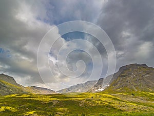 Mountain tundra with mosses and rocks covered with lichens, Hibiny mountains above the Arctic circle, Kola peninsula, Murmansk