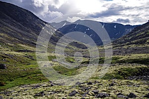 Mountain tundra with mosses and rocks covered with lichens, Hibiny mountains above the Arctic circle, Kola peninsula, Russia