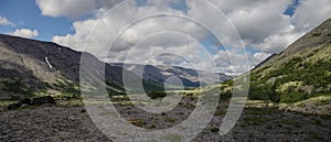 Mountain tundra with mosses and rocks covered with lichens, Hibiny mountains above the Arctic circle, Kola peninsula, Russia