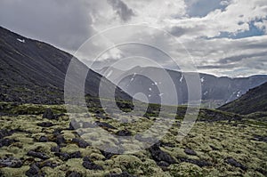 Mountain tundra with mosses and rocks covered with lichens, Hibiny mountains above the Arctic circle, Kola peninsula, Russia.