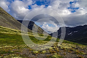 Mountain tundra with mosses and rocks covered with lichens, Hibiny mountains above the Arctic circle, Kola peninsula, Russia.