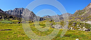 Mountain tundra at noon in July