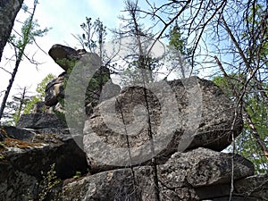 Mountain Turtle. Stone blockages of the taiga. Impenetrable forest. Siberian patterns of nature, Irkutsk. Siberia