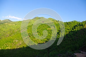 Mountain under the blue sky photo