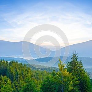 mountain valley in blue mist at the sunrise