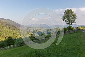 Mountain valley in the Carpathian Mountains at sunny spring evening