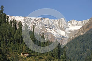 The mountain valley covered pine forest. Kullu