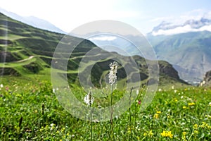 A mountain valley in the gorge of the Cherek-Balkar River in the vicinity of the Gymyhli tract. Caucasus 2021 photo