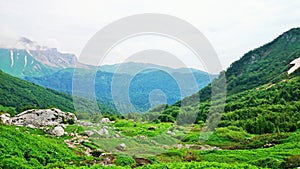 Mountain valley. Green grass, white stones and clouds
