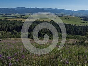 Mountain valley with meadow, forest, green fileds and with blue misty slopes of low tatra mountais in the distance