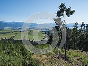 Mountain valley with meadow, spruce forest, green fileds and with blue misty slopes of low tatra mountais in the