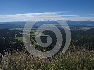 Mountain valley with meadow, spruce tree forest, green fileds and with blue misty slopes of low tatra mountais in the