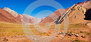 Mountain valley panorama in the Andes with hikers trekking, Argentina, South America