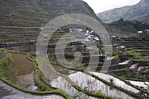 Mountain Valley with Rice Fields on Terraces.