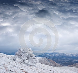 Mountain valley in snow under cloudy sky