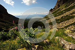 Mountain valley in summer day