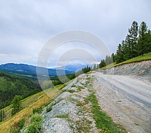 Mountain valley in summer day clouds Altai