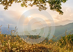 Mountain valley during sunset or sunrise. Natural spring or summer season landscape