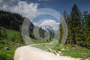 Mountain valley with tracks near Jenner mount in Berchtesgaden National Park