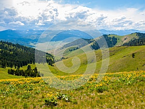 Mountain and Valley View